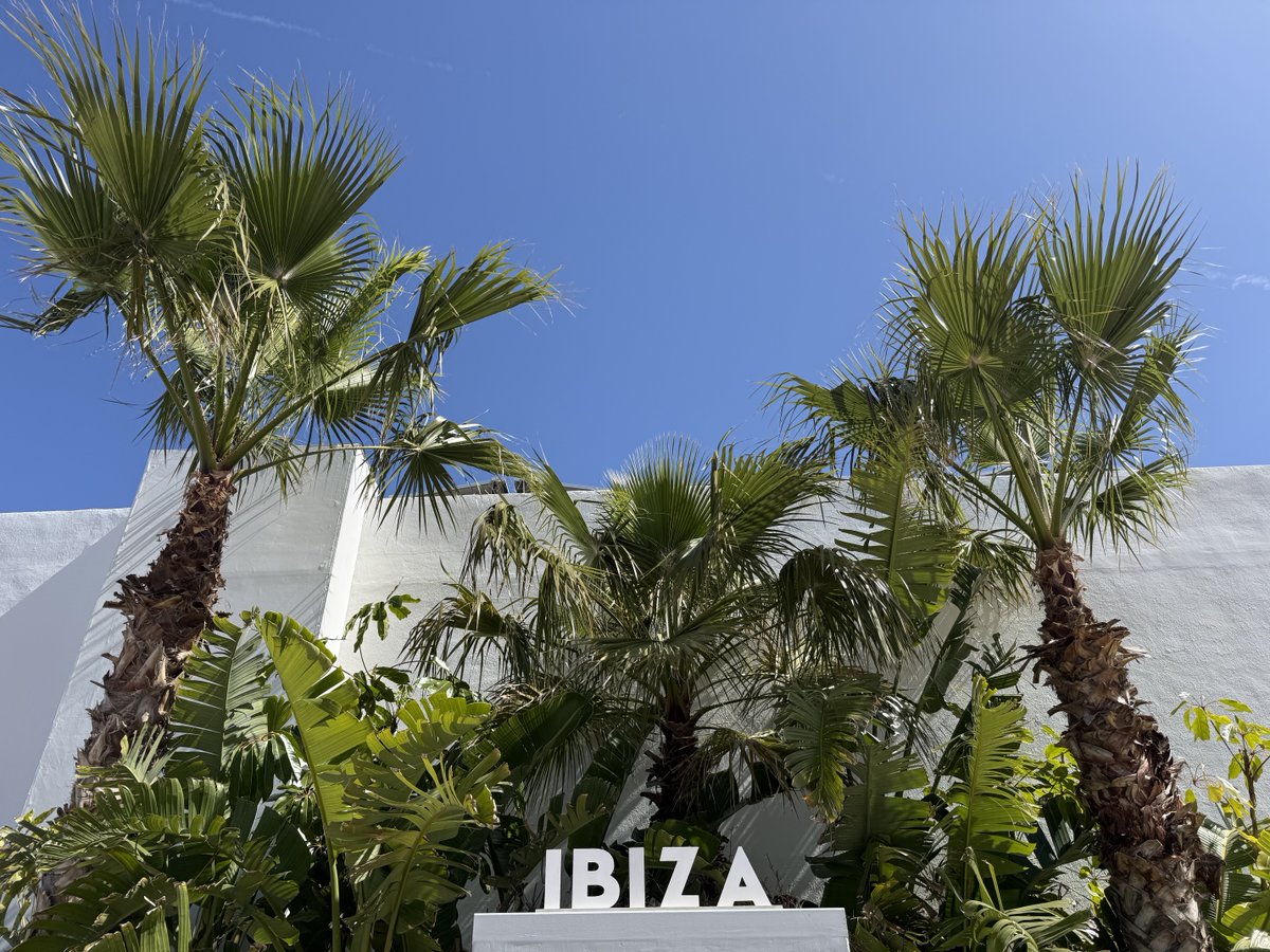 Manda Rin tweet media