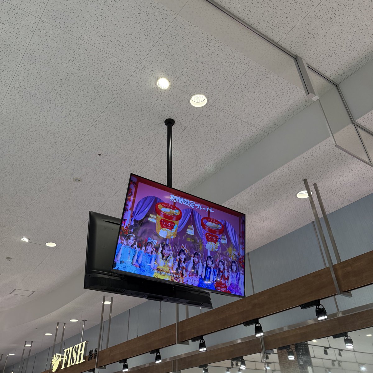 ゆいぽむるちゃん tweet media