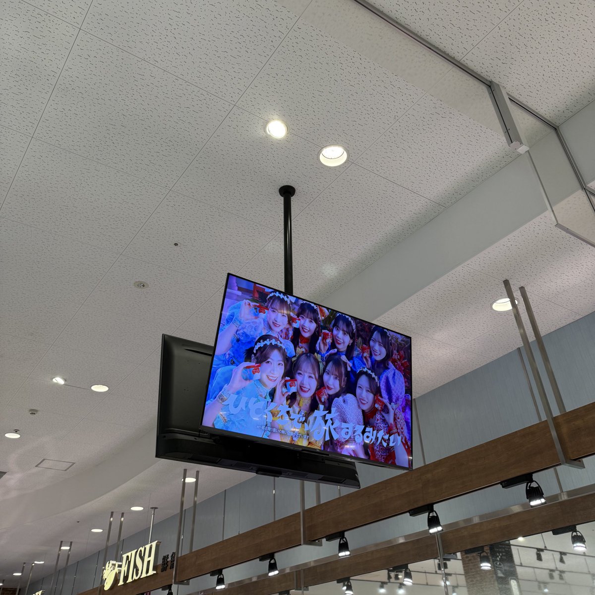 ゆいぽむるちゃん tweet media