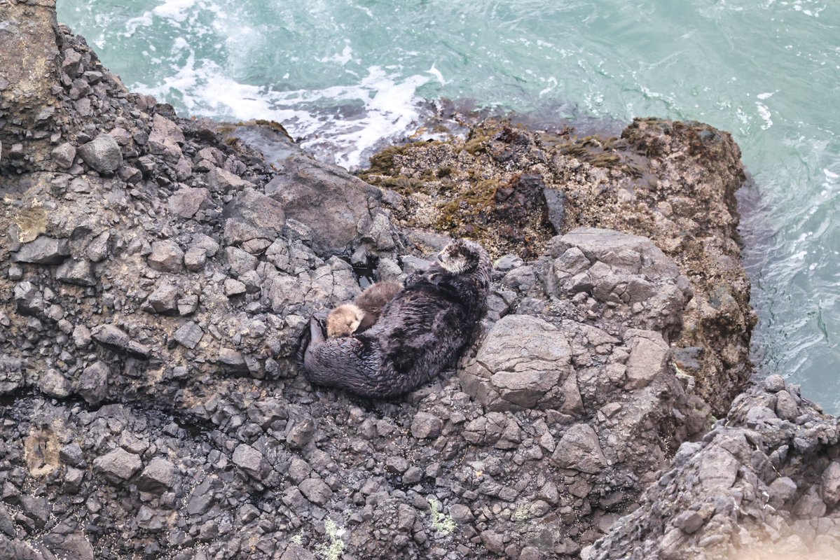 温根湯温泉の人♨️ tweet media