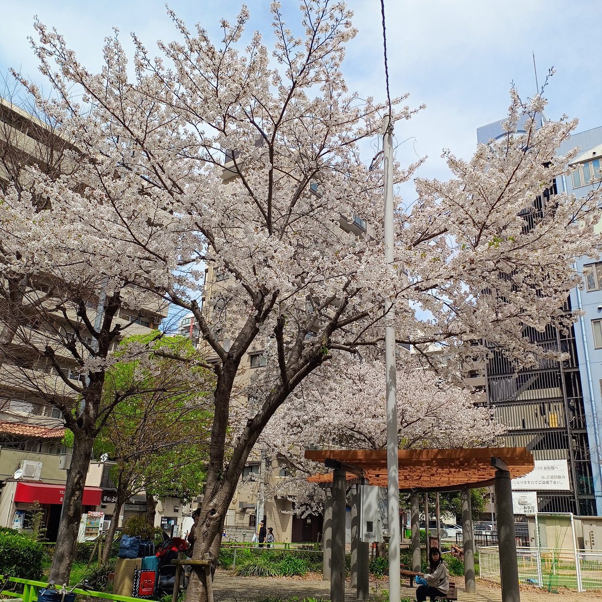 ユーマ tweet media