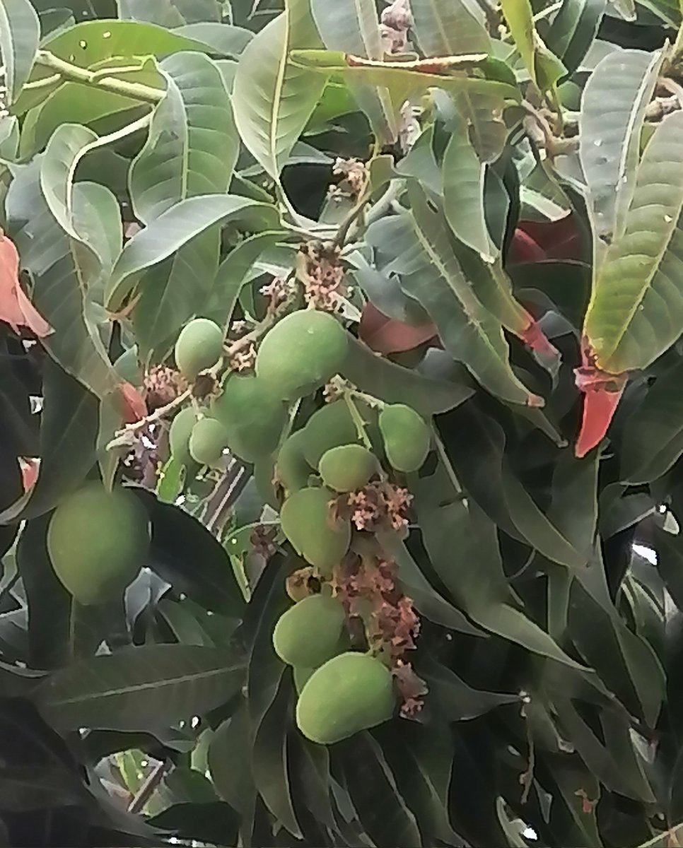 الهادئه tweet media