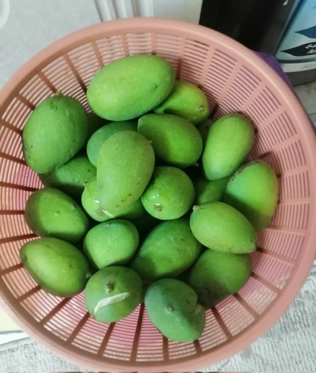 الهادئه tweet media