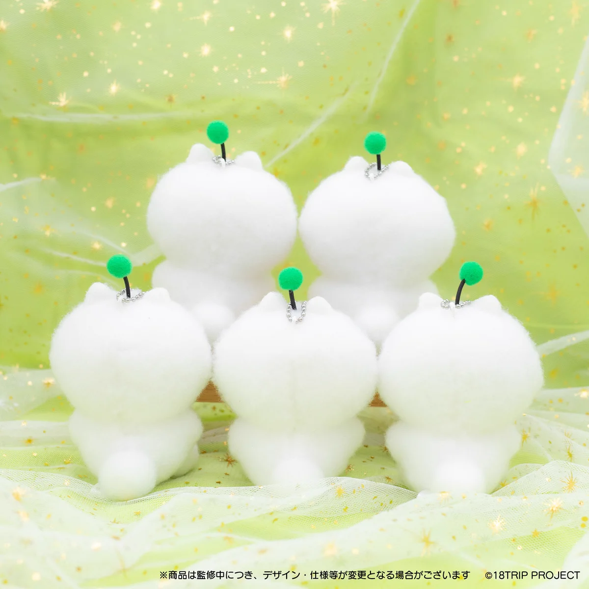 18TRIP 専用ページ HFTCAS8aUAA02On?format=webp&