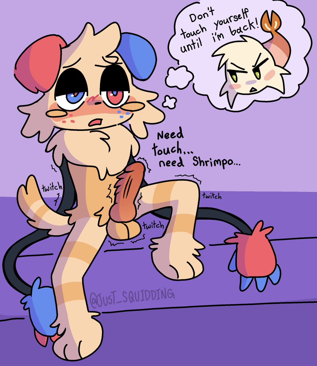🔞★ MAX tweet media