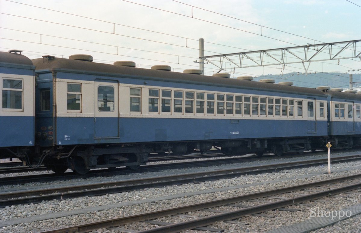 ショッポー tweet media