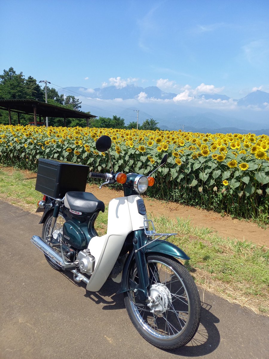 よしぞうmaro' tweet media