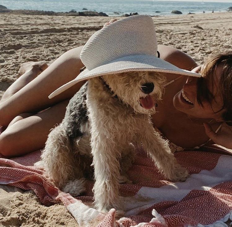 hourly spampi tweet media