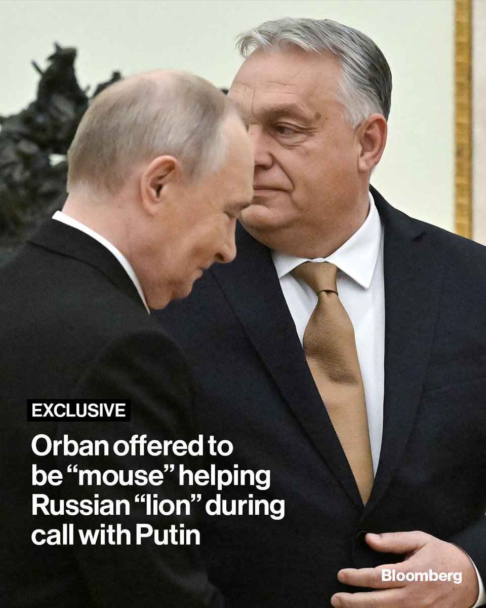 Bloomberg tweet media