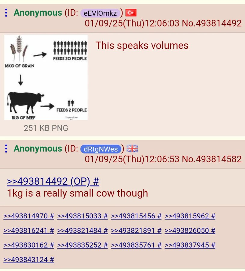 The 4Chan Archives tweet media