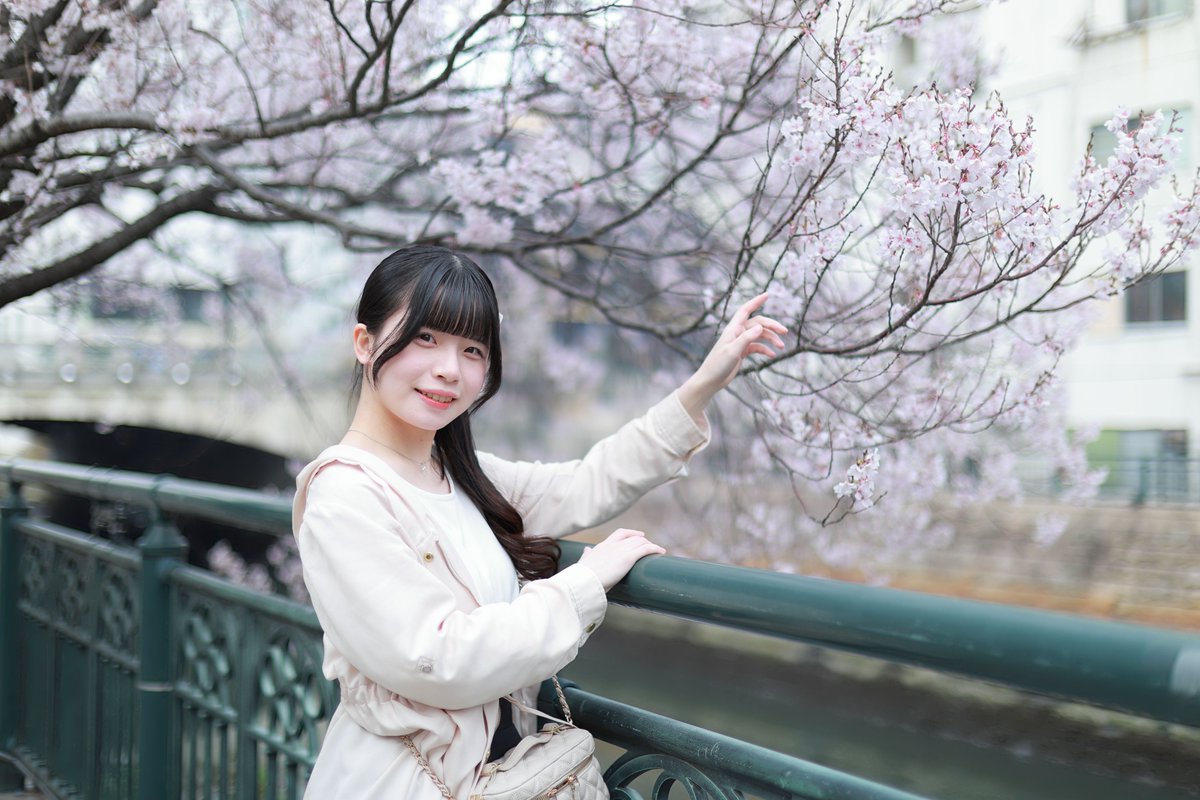 ねこめし (めっしー) tweet media