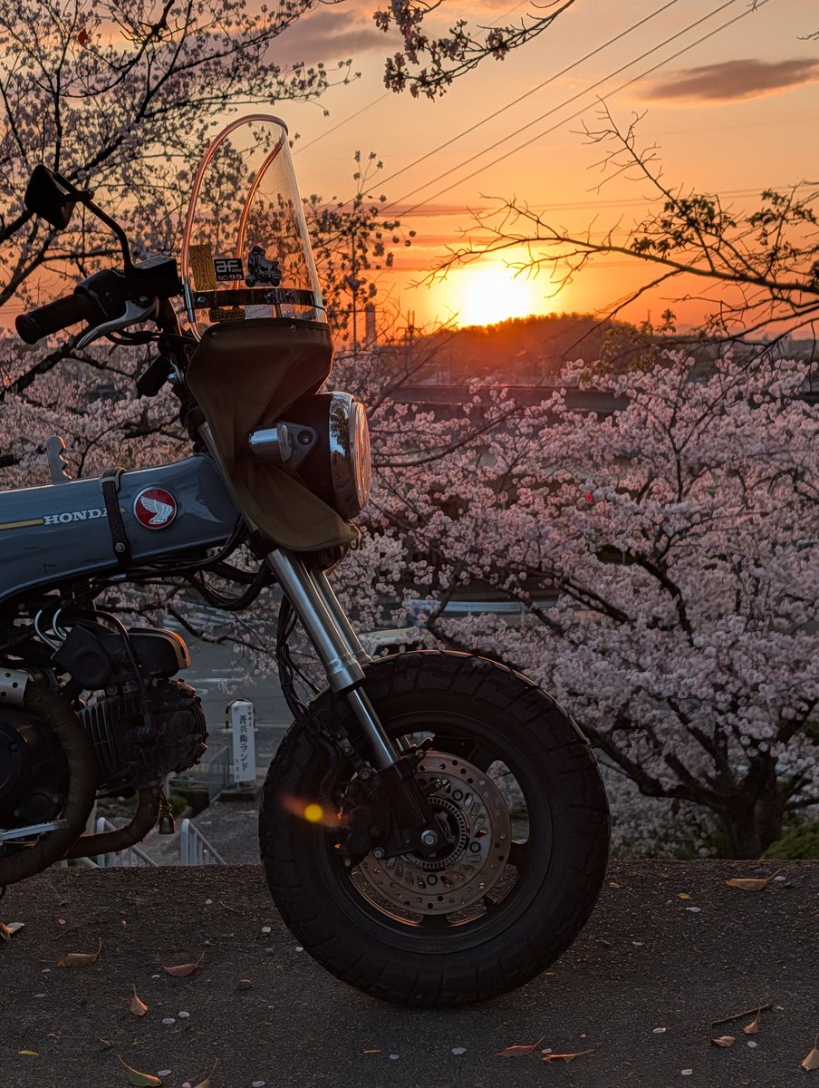 バッシー843☆ tweet media