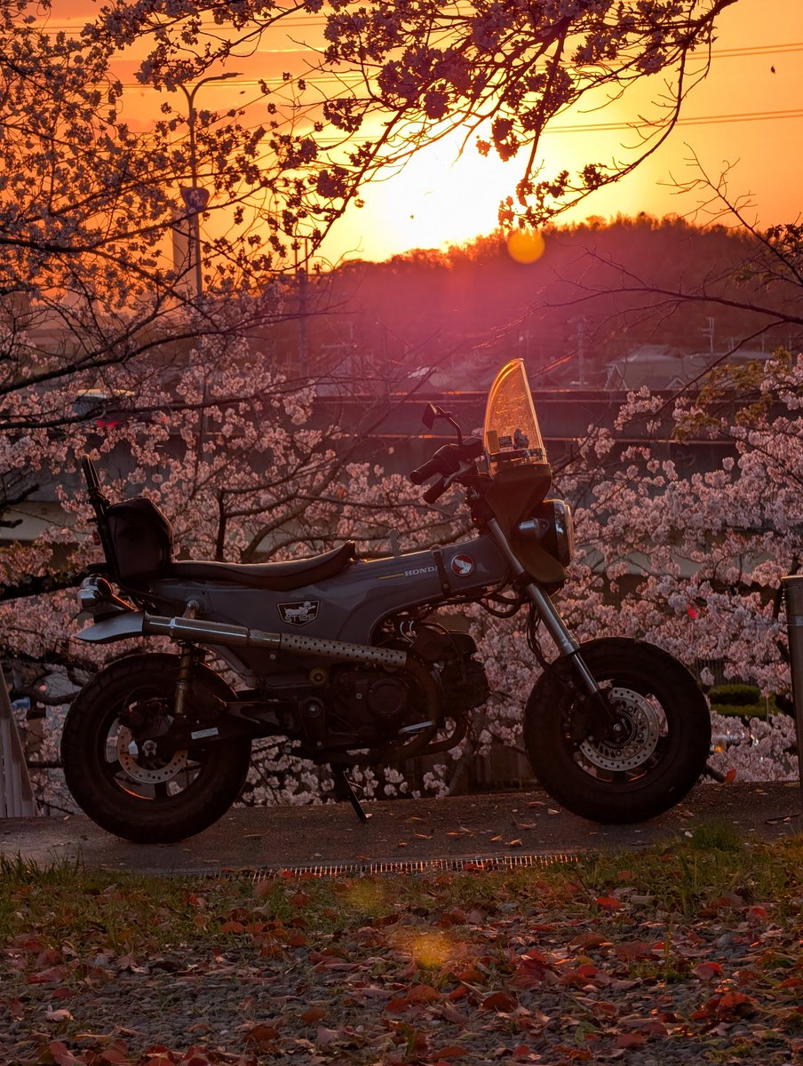 バッシー843☆ tweet media