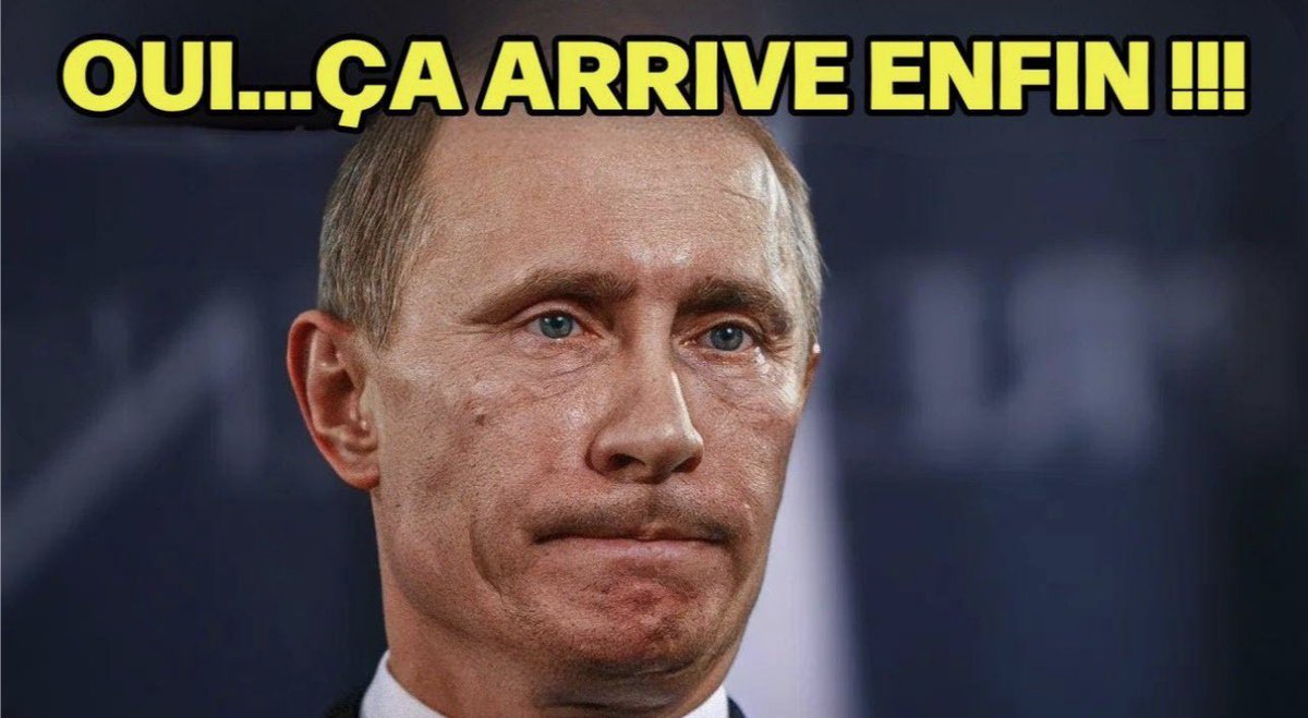 Camille Moscow 🇷🇺 🌿 ☦️ tweet media