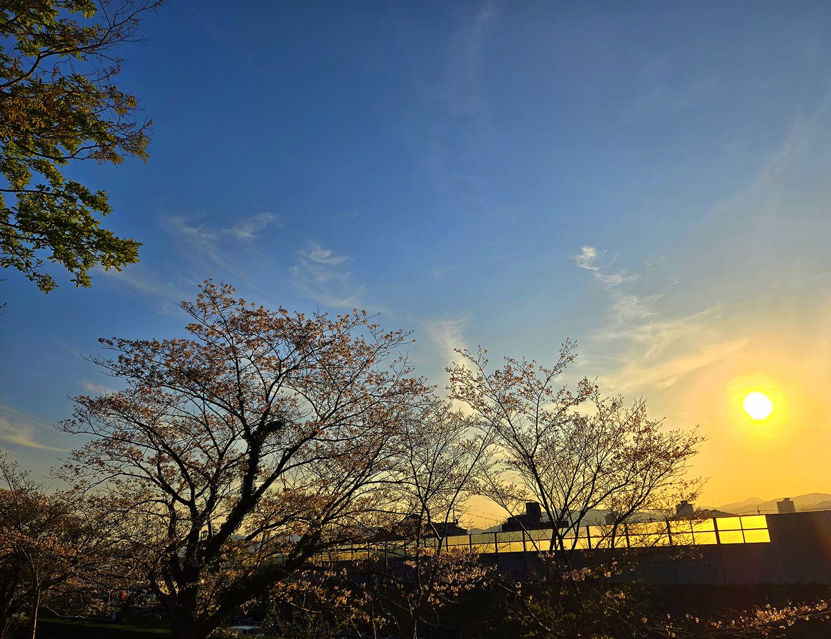 放課後ジオラマ倶楽部 tweet media