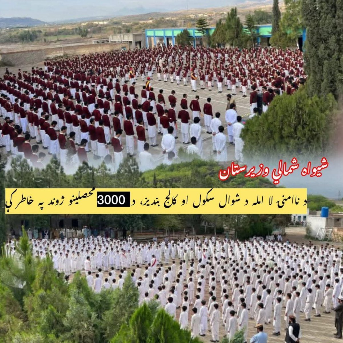 PTM Dir Official tweet media