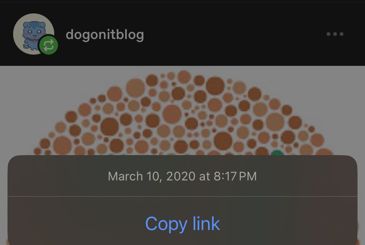 dog on it🐶 tweet media