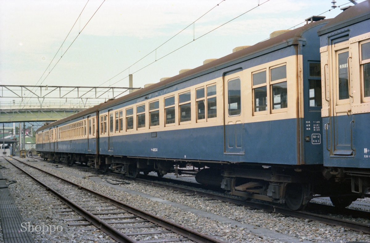 ショッポー tweet media