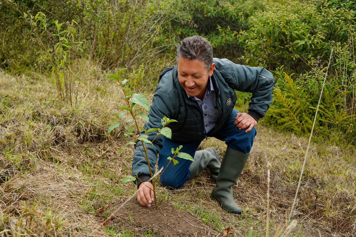 Alfred_Balle's tweet photo. Conservar sí paga. Y en la @CAR_Cundi lo sabemos. 
En este 2026 fortalecemos el programa de Pago por Servicios Ambientales (PSA) para llegar a 20 municipios, sumar 400 nuevas hectáreas y entregar $800.000 como incentivo base a nuevos participantes.

En el 2025:
Invertimos $1.600 millones de pesos Vinculamos 1.703 hectáreas a procesos de conservación con el apoyo de 145 familias rurales que hoy protegen nuestros ecosistemas.

Seguimos trabajando con nuestros mejores aliados: la comunidad.