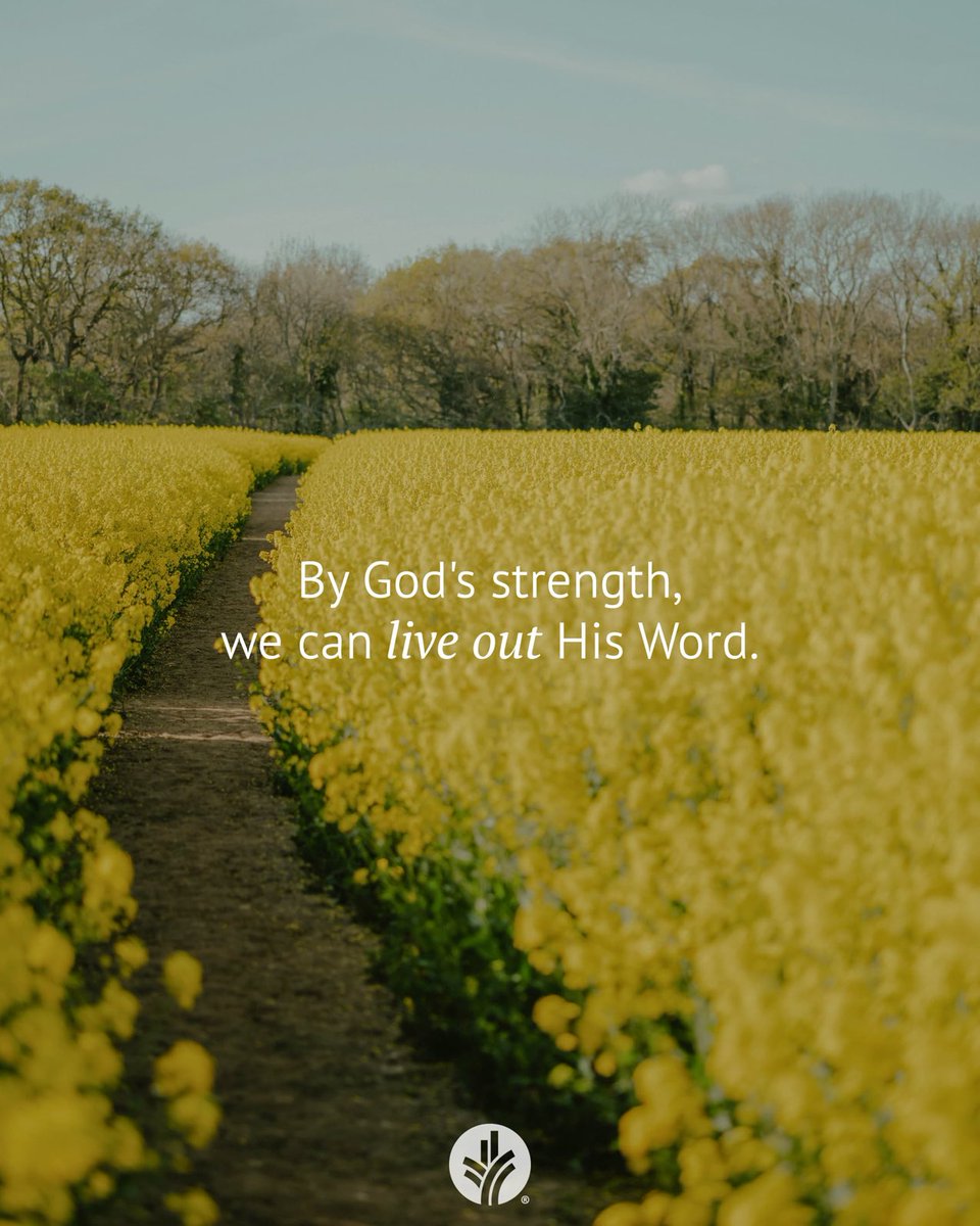 Fred Hamilton tweet media