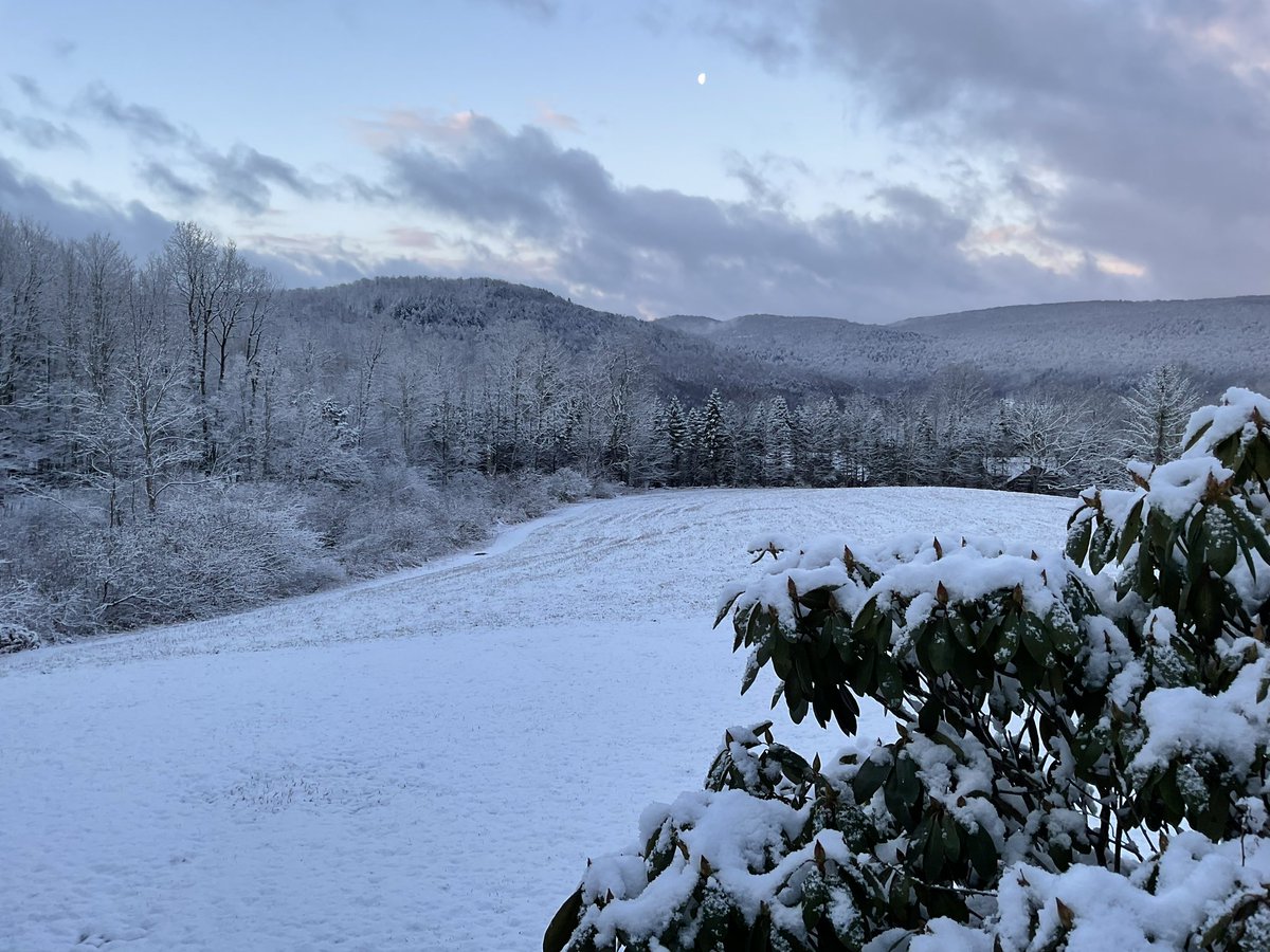 Leslie T. Sharpe tweet media