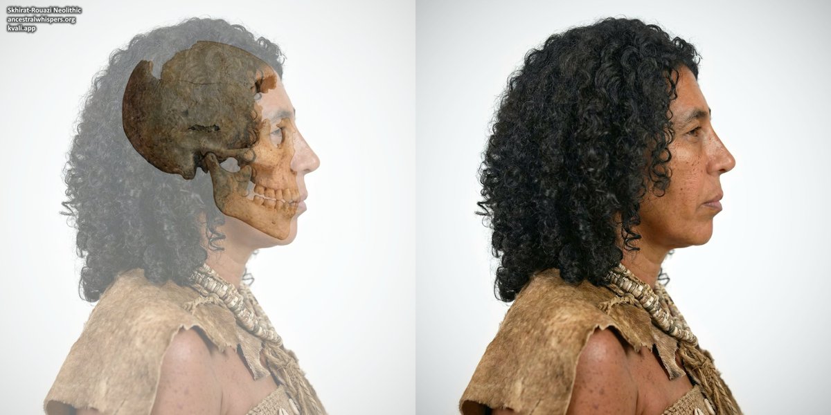 Ancestral Whispers tweet media