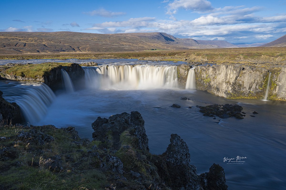 Wayne Moran Photography tweet media