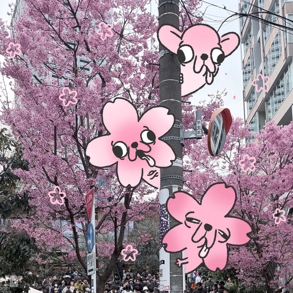 godgwawa's tweet photo. 東京旅行中のへんしゅチワワ https://t.co/zMjtBLCFyP