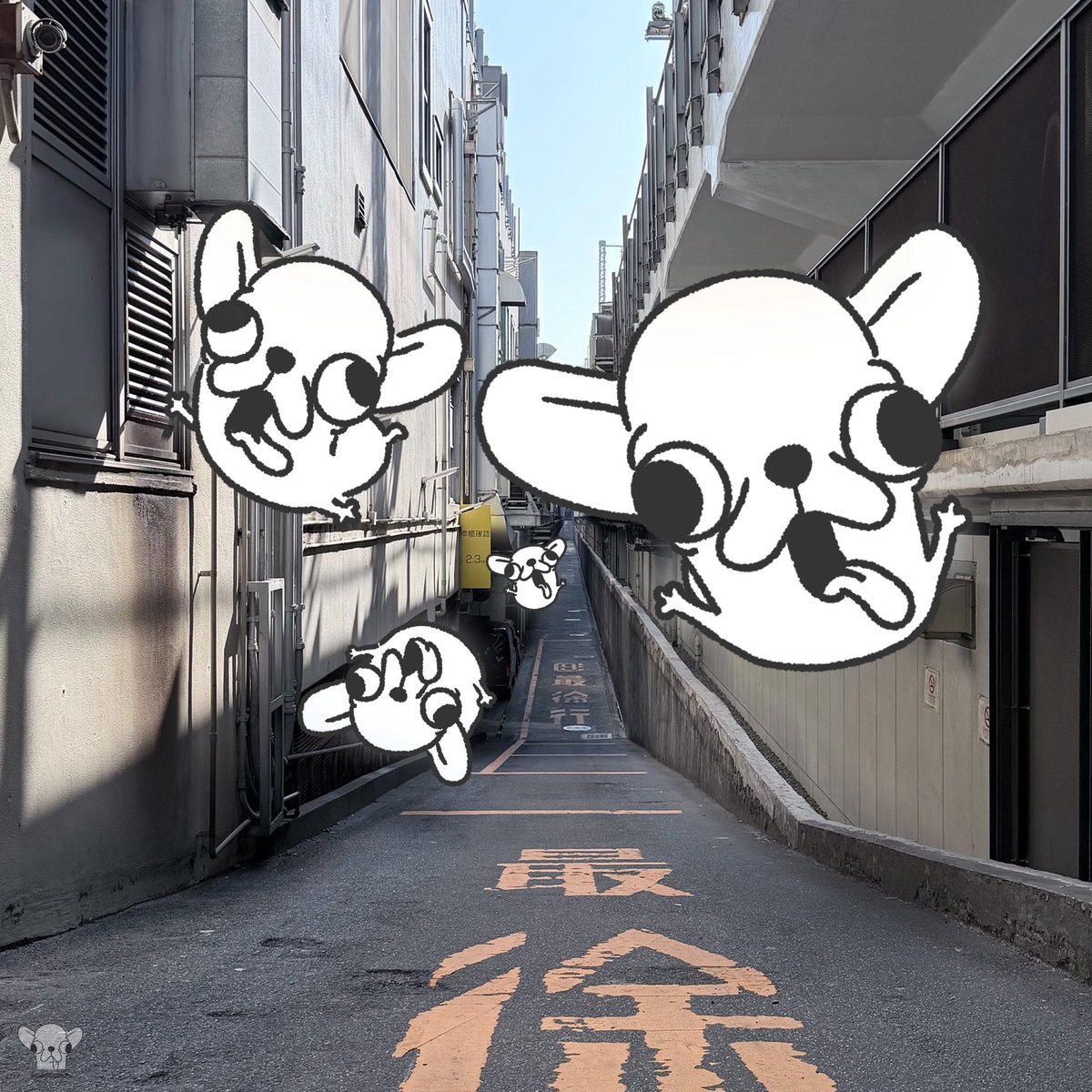 godgwawa's tweet photo. 東京旅行中のへんしゅチワワ https://t.co/zMjtBLCFyP