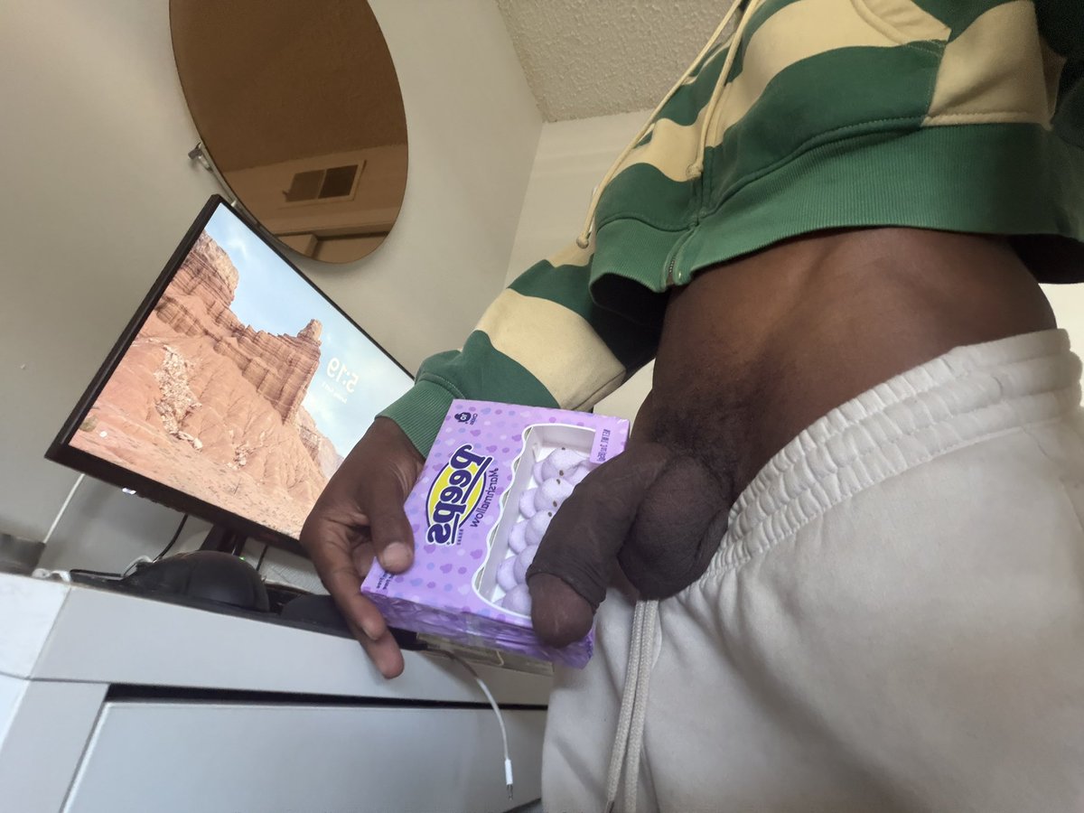 PARADISE 🏝️✨ tweet media