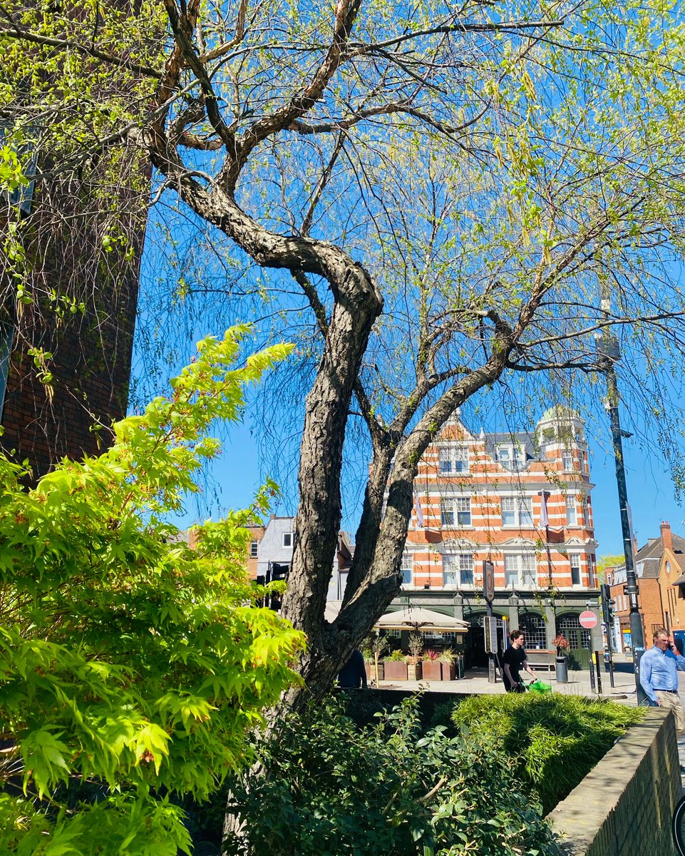 Orange Tree Hotel tweet media