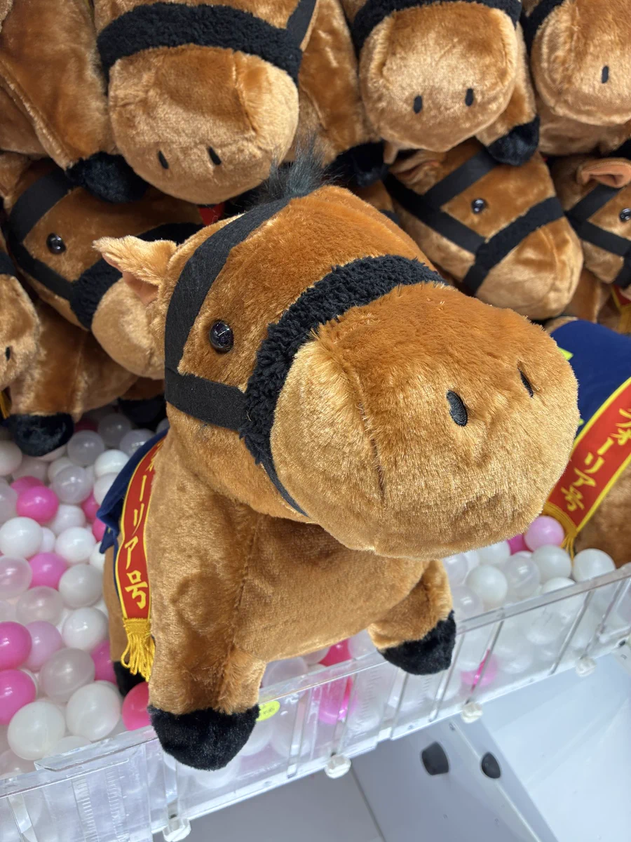 タイステ 仙台名掛丁店 on X: 