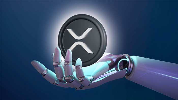 Chloe the XRP shiller 💙 tweet media