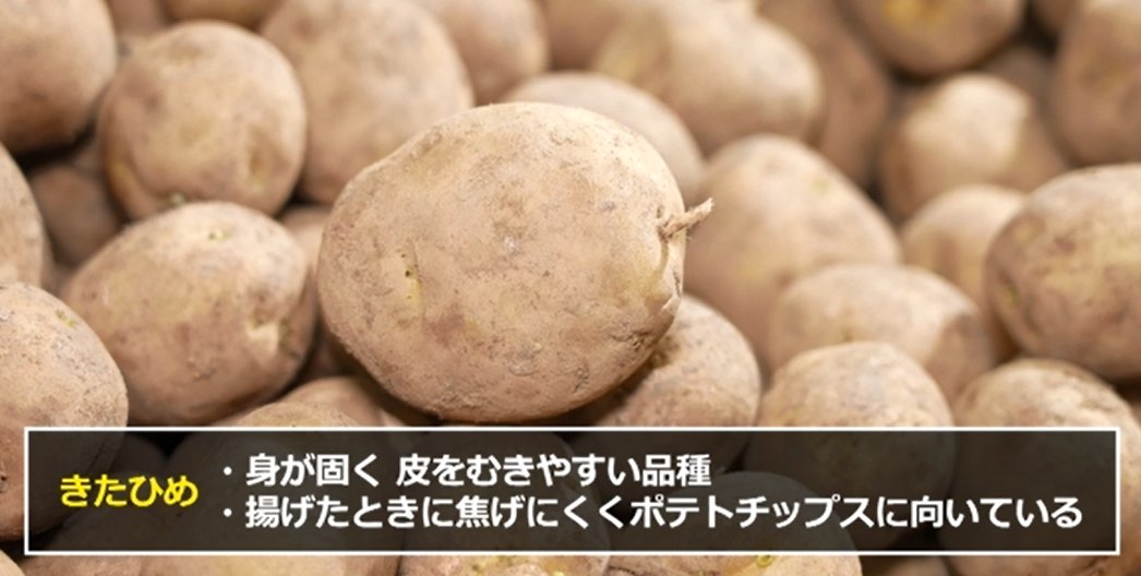 竹下大学/品種ナビゲーター tweet media