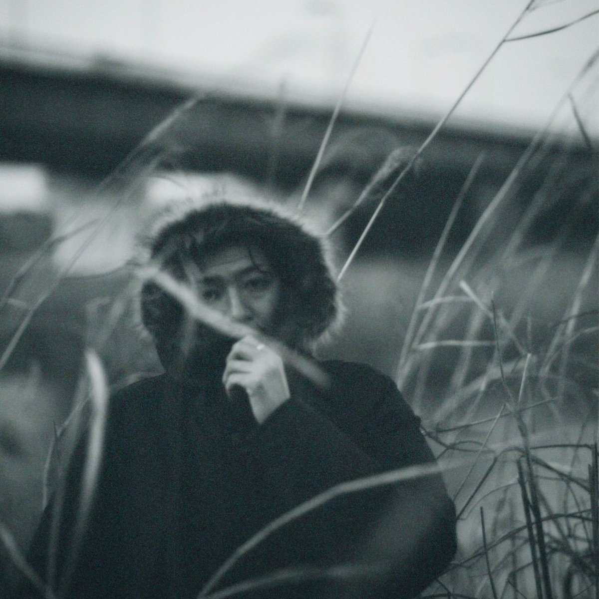 電波少女 tweet media