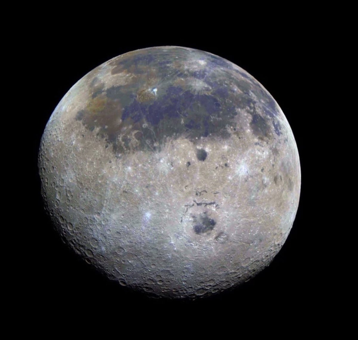 Pillole Cult tweet media