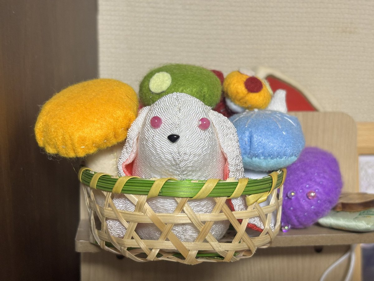 籠が話題⁉︎
哀しいことにうちの籠暮らしはちびふわwithボラボラなのです🥺