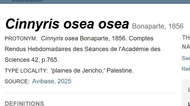 Azaղ :) tweet media