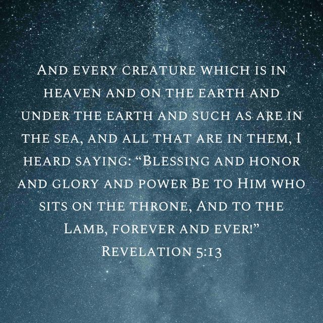 Sarah Malcangi tweet media