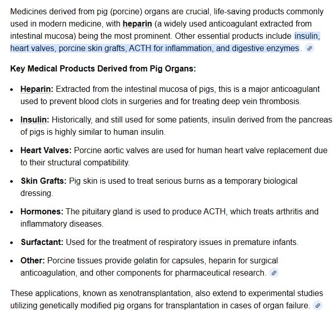 DoktorUebel tweet media