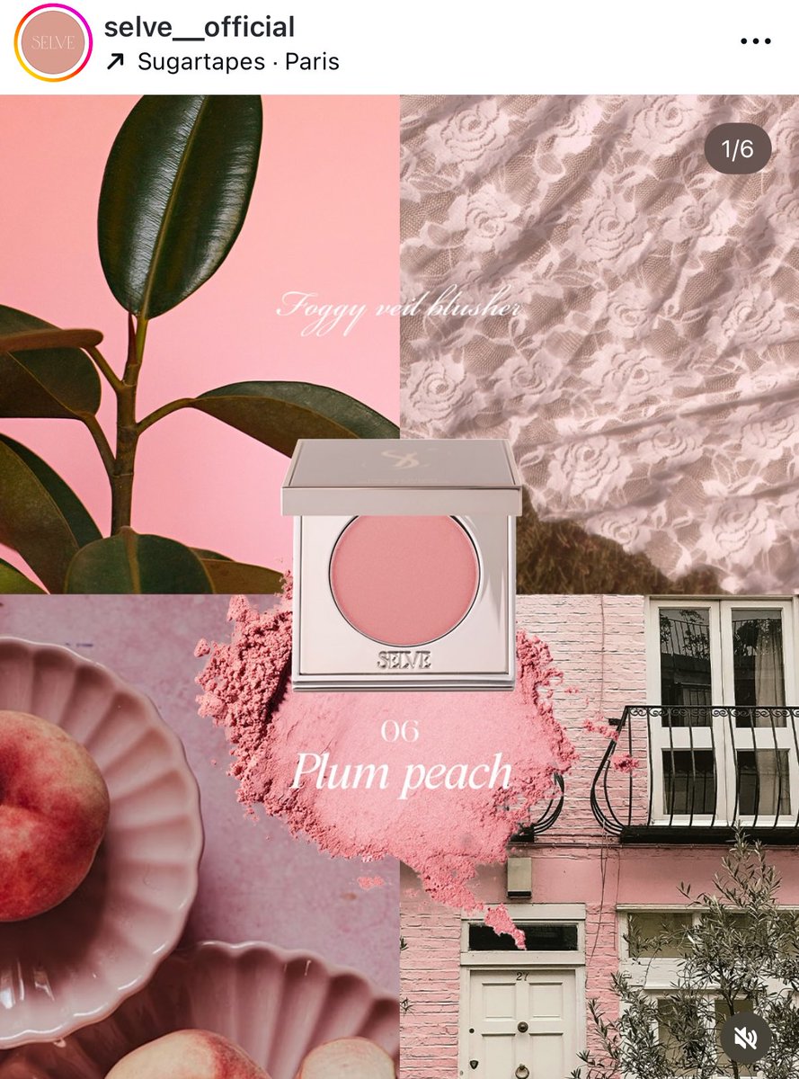 パン食べたい🐼 tweet media