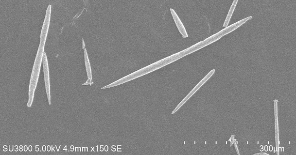 CICECO – Aveiro Institute of Materials tweet media