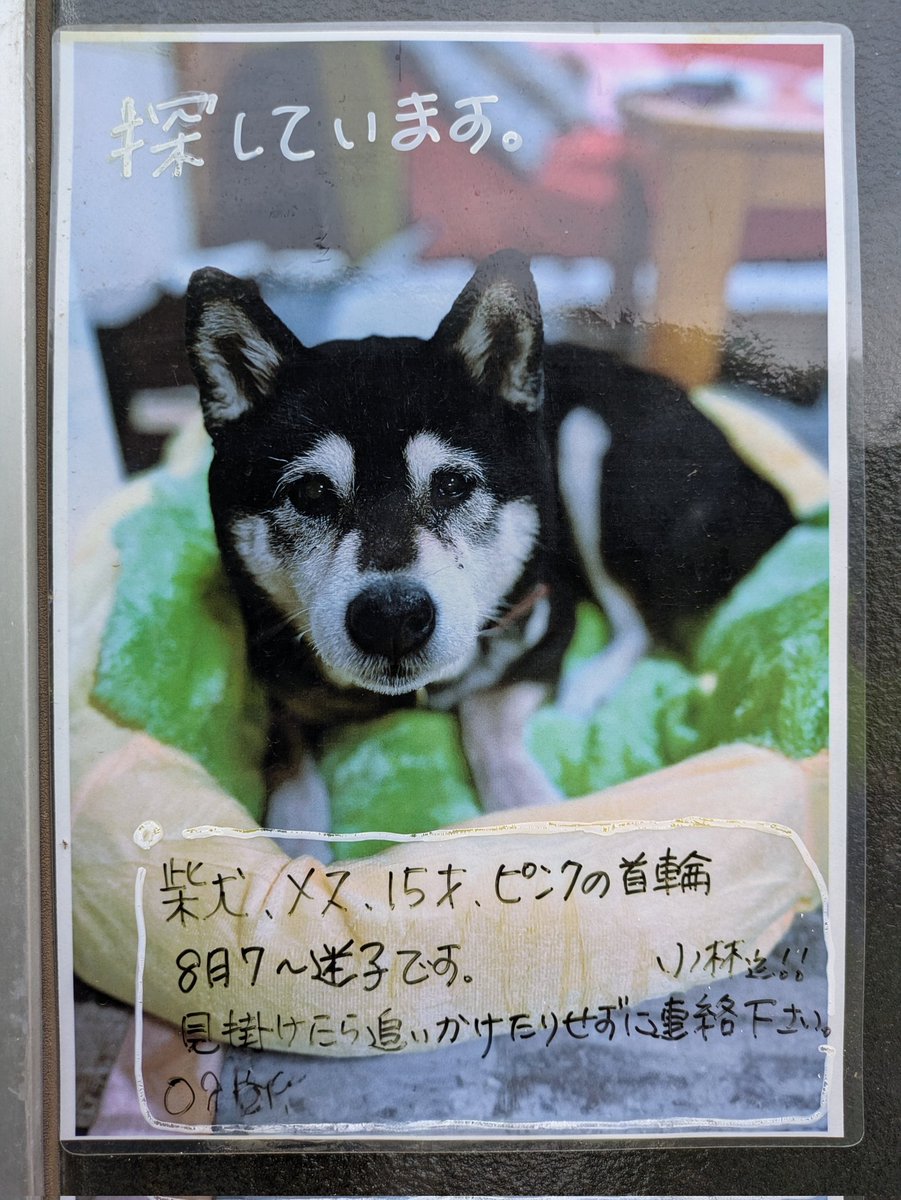 二足歩行 tweet media