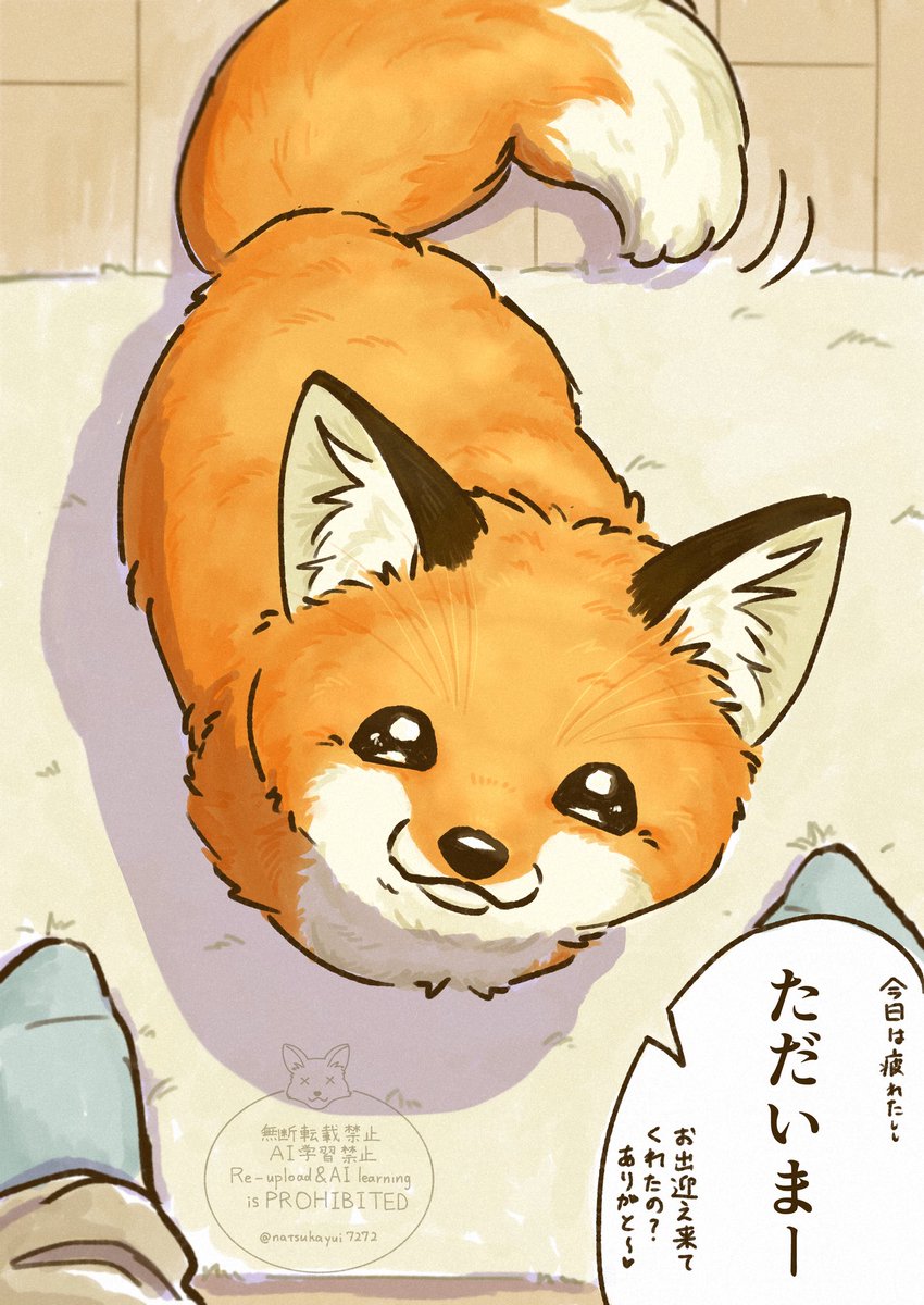 夏朱 優衣/ 書籍「きつねと一緒に暮らしたら」5月18日発売🦊 tweet media