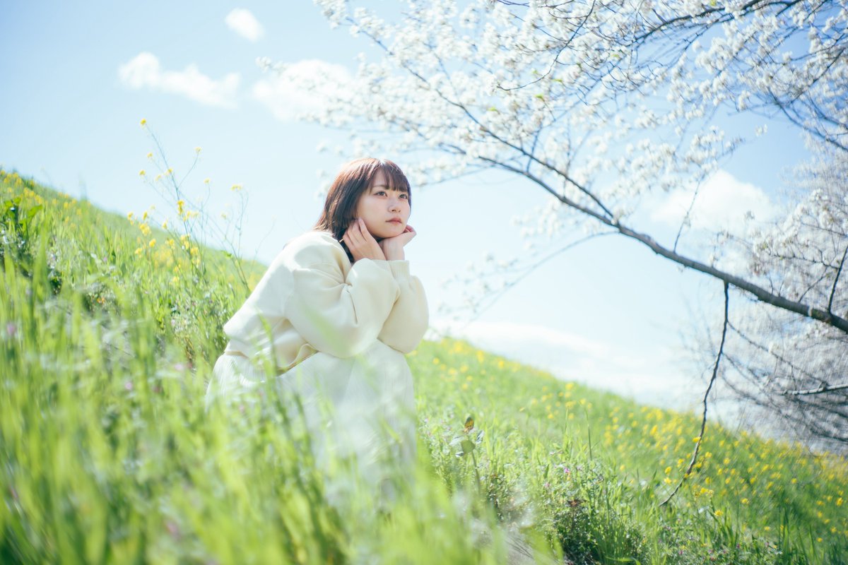 加神こはく tweet media