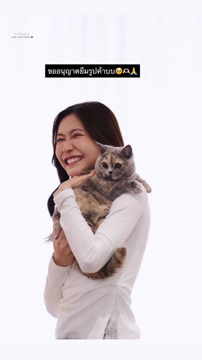 Noey Kanteera Official FC tweet media