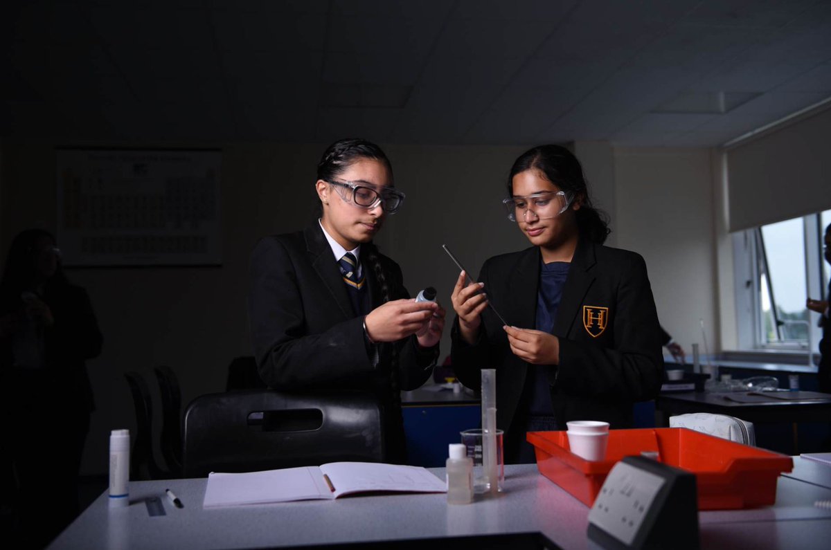 HamsteadHallAcademy tweet media