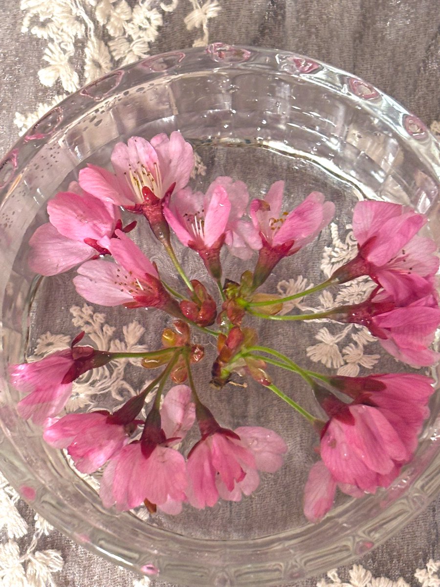 🌐仙台ゆづみこ tweet media