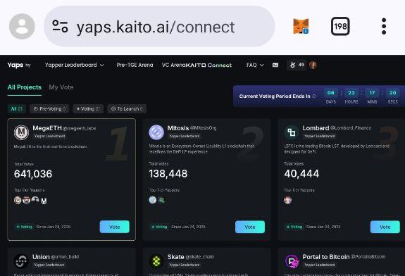 goku_xc's tweet image. 2025 what year People were Selling Vote 

on OTC So project could be listed on Kaito 😂💔 all you needed was Yaps