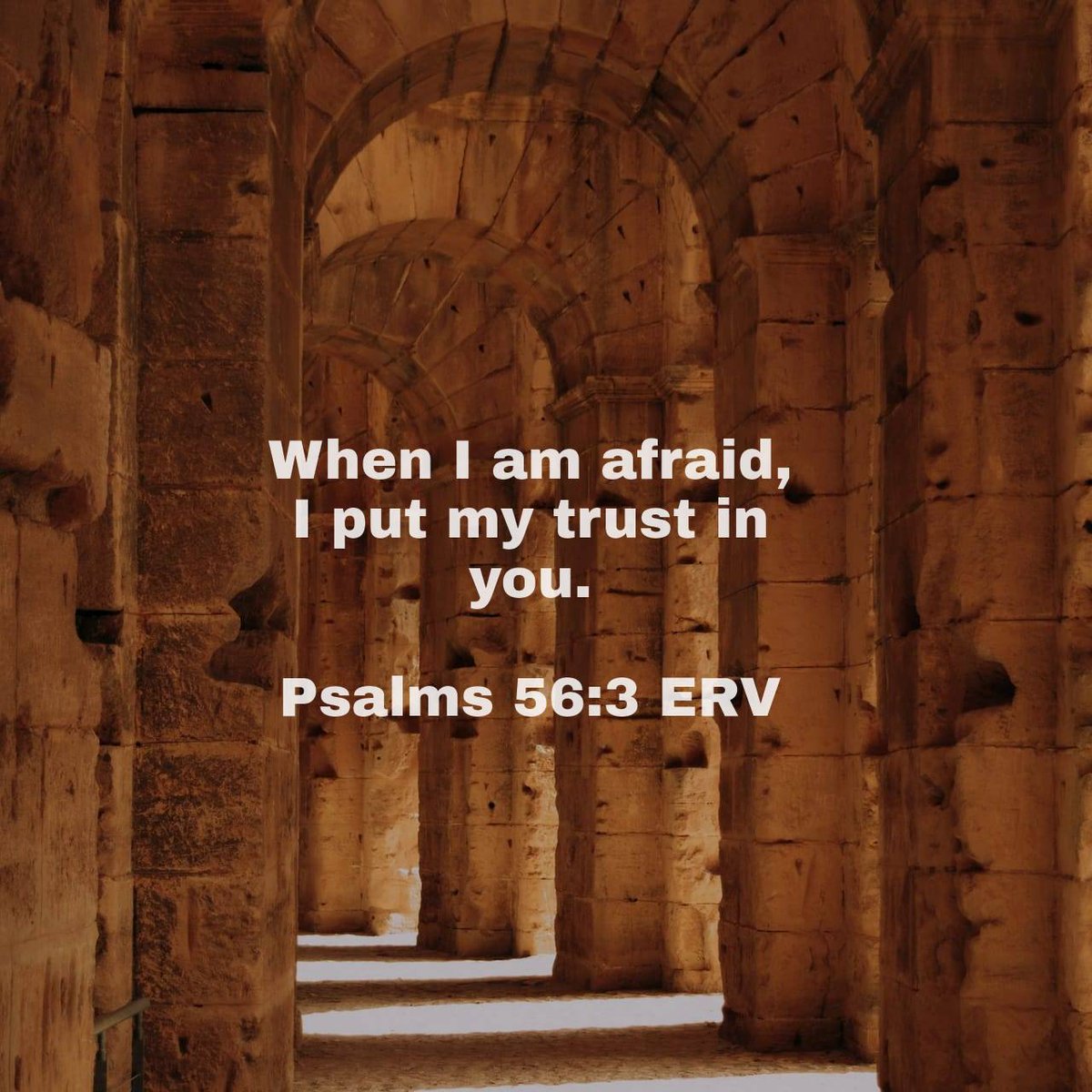 Psalms 56:3 ERV
[3] When I am afraid, I put my trust in you.

bible.com/bible/406/psa.…